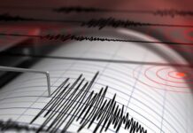 6 Cara Menyelamatkan Diri Ketika Gempa Bumi Secara Aman 6 Cara Menyelamatkan Diri Ketika Gempa Bumi Secara Aman