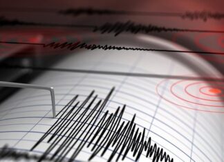 6 Cara Menyelamatkan Diri Ketika Gempa Bumi Secara Aman 6 Cara Menyelamatkan Diri Ketika Gempa Bumi Secara Aman