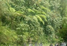 Pengendara Sepeda Motor Tewas Di Tempat Bertabrakan Dengan Mobil Truck