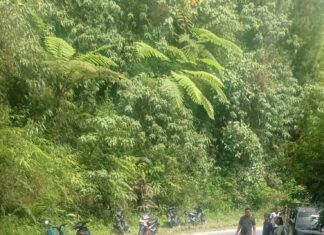 Pengendara Sepeda Motor Tewas Di Tempat Bertabrakan Dengan Mobil Truck