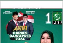 Arni Maju Sebagai Caleg Dari Partai PKB Dapil 4 Nomor Urut 4