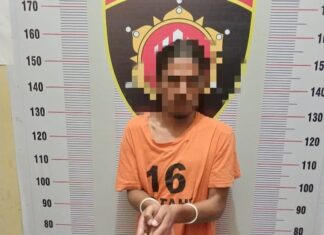 Tim Sat Narkoba Polres Toba Amankan Seorang Lelaki Pemilik Narkotika Jenis Ganja