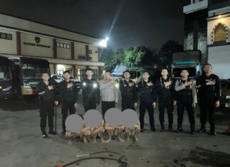 Sat Samapta Polres Bogor Berhasil Cegah Tawuran Gengster di CiriMekar Cibinong