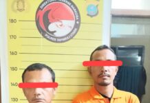Sat Resnarkoba Polres Taput Ringkus 2 Pengguna Narkoba Saat Sedang Asyik Mengkonsumsi Sabu