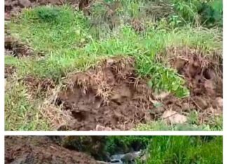 Bencana Alam Longsor Terjadi di Desa Sukamulya Kecamatan Sukamakmur