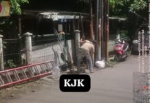 Diduga Belum Ada Izin Pemasangan Tiang Internet Kecamatan Tangerang Labrak Aturan