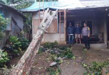 Polsek Caringin Bersama Instansi dan Masyarakat Bantu Evakuasi Rumah Yang Tertimpah Pohon