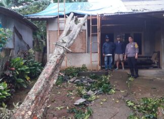 Polsek Caringin Bersama Instansi dan Masyarakat Bantu Evakuasi Rumah Yang Tertimpah Pohon