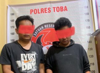 Dua Orang Pria Pemilik Narkoba Jenis Ganja Diringkus Satresnarkoba Polres Toba