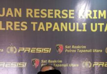 Pelaku Pencabulan Keponakan Kandungnya Ditangkap SatreskrimPolres Taput Dari Provinsi Riau