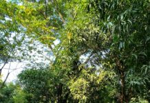 ILUSI Mercu Buana Support Aksi Sosial Orange Media Berbagi Takjil dan Makanan Berbuka Puasa