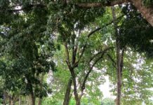 Setu Kemang Jadi Tempat Alternatif Ngabuburit Saat Ramadhan Oleh Warga