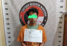 Oknum BAT Dan Barang Bukti Narkoba Diamankan Satresnarkoba Polres Toba