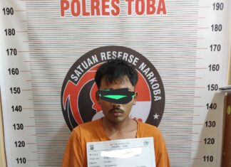 Sat Resnarkoba Polres Toba Ciduk Oknum YAML Hasil Pengembangan Tersangka BAT Pemilik Narkoba