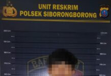 Tim Gabungan Polsek Siborongborong Dan Sat Reskrim Polres Taput Ringkus Remaja Pelaku Curanmor