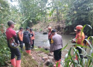 Polsek Cibungbulang Bersama Instansi Terus Berusaha Pencarian Korban Hanyut di Sungai Ciaruteun