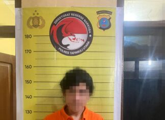 Sat Resnarkoba Polres Taput Ringkus Pengedar Narkoba Jenis Extacy Usai Membeli Barang Haram Dari Rekannya