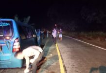 Polsek Jasinga Cepat Tanggap Tangani Awal Cek TKP Laka Lantas