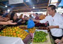 Presiden Jokowi Belanja Buah dan Sayur di Pasar Buah Berastagi