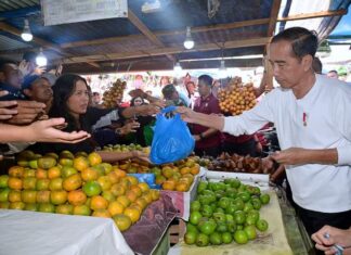Presiden Jokowi Belanja Buah dan Sayur di Pasar Buah Berastagi