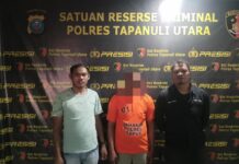 Pelaku Cabul Terhadap Anak Dibawah Umur Ditangkap Sat Reskrim Polres Taput