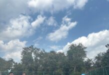 Cabor Softenis Dipastikan Tak Akan Lakukan Mutasi Atlet