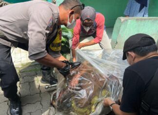 Polsek Cibinong Lakukan Olah TKP Terkait Temuan Mayat Dalam Rumah