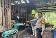 Pencurian 11 Ekor Kambing Terjadi di Desa Pagelaran, Polsek Ciomas Lakukan Investigasi Penyelidikan Lanjut
