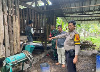 Pencurian 11 Ekor Kambing Terjadi di Desa Pagelaran, Polsek Ciomas Lakukan Investigasi Penyelidikan Lanjut