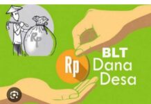 Pemerintah Desa Paluta Belum mencairkan BLT Dana Desa Paluta Dari Bulan Januari 2024 Hingga April 2024