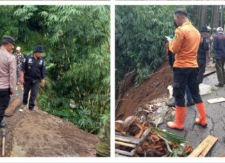 Polsek Dramaga Bersama Instansi Terkait Cek Lokasi TKP Tanah Longsor dan Rumah Roboh di Dramaga Bogor