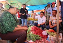 Penjabat Bupati Taput Dr.Dimposma Sihombing S.Sos M.AP Lakukan Sidak Di Pasar Tradisional Tarutung