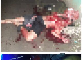 Polsek Cibungbulang Lakukan Investigasi Penyelidikan Terkait Adanya Mayat MR X dengan Luka Bacok Sekujur Tubuhnya