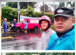 Polsek Ciawi Lakukan Pengecekan Terkait Kendaraan Mengalami Musibah Tertimpa Pohon Tumbang