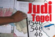 Oknum JG Dan DS Bandar Judi Togel Kecamatan Pahae Diduga Kebal Hukum