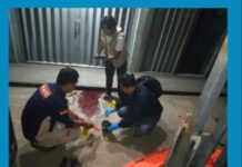 Polsek Gunung Putri Amankan Pelaku Diduga Melalukan Pembunuhan di Tlajung Udik