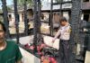 2 Unit Rumah Semi Permanen Ludes Dilalap Si Jago Merah di Adiankoting Taput