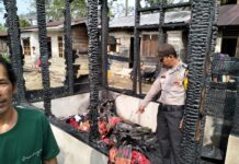 2 Unit Rumah Semi Permanen Ludes Dilalap Si Jago Merah di Adiankoting Taput