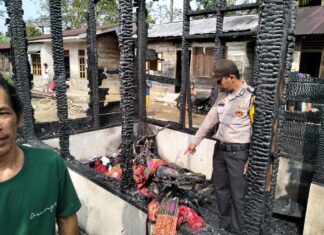 2 Unit Rumah Semi Permanen Ludes Dilalap Si Jago Merah di Adiankoting Taput
