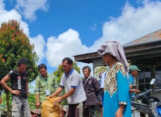Toba Pulp Lestari TPL Berikan Bantuan Bibit Kentang dan Pupuk Organik di Sipahutar TAPUT.