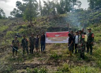 TMMD Imbangan Kodim 1307/Poso, Koramil 1307-02/Pampus Bersama Kelompok Tani Hersan Sangira Bersihkan Lahan Ketahanan Pangan
