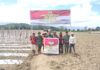 Dukung Ketahanan Pangan, Anggota Koramil 1307-10/Lore Utara Siapkan Lahan 5 Hektar di Desa Maholo dalam Rangka TMMD Imbangan Kodim 1307/Poso