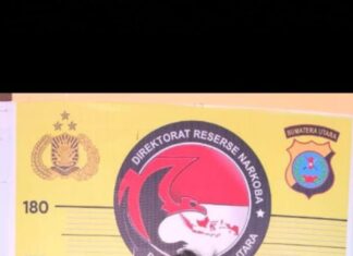 1 Orang Pengguna Narkoba Jenis Sabu Berhasil Ditangkap Tim Opsnal Satnarkoba Polres Taput