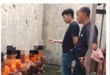 Polsek Kemang Berhasil Amankan 11 Remaja Diduga Gangster BTB (BAWAH TANAH BOGOR)