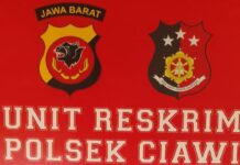 Polsek Ciawi Mengamankan Diduga Pelaku Perkara Tindak Pidana Penipuan dan penggelapan Uang