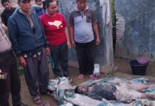 Seorang Pekerja Harian Lepas Di Sawah Tewas Tertimpa Longsor