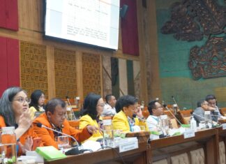 Rapat Dengar Pendapat Umum DPR, PERLUNI UNIKA ATMA JAYA Beri Masukan Kritis Dan Konstruktif