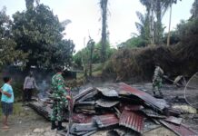 2 Unit Rumah Di Silaen Ludes Dilalap Si Jago Merah