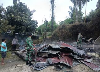 2 Unit Rumah Di Silaen Ludes Dilalap Si Jago Merah