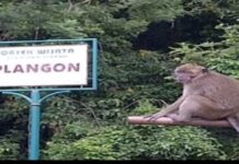 MISTERI RADJA KERA, Asal-usul Plangon Cirebon.